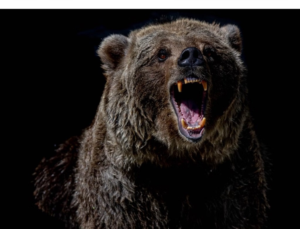 IT AINT ALL FUN AND&nbsp;GAMES